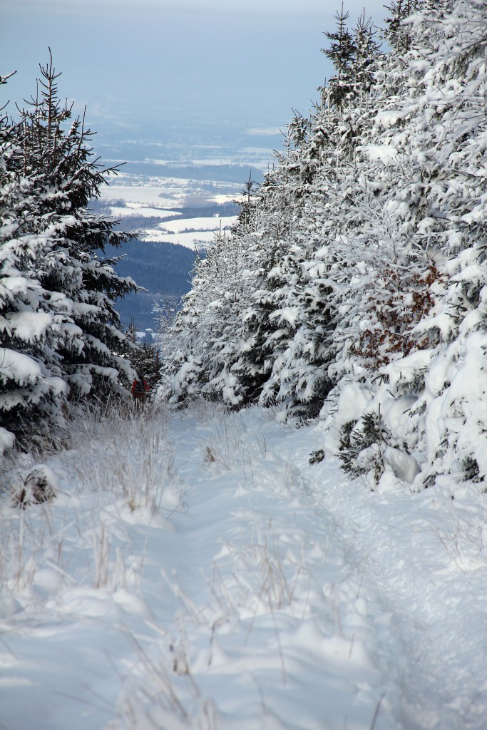 img00069.jpg