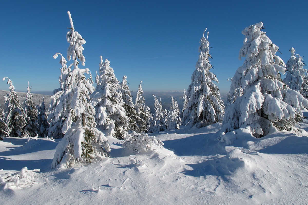 img00027.jpg