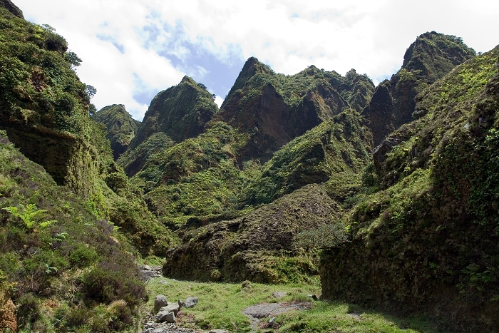 img00105.jpg