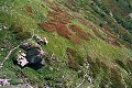 thn00072.jpg