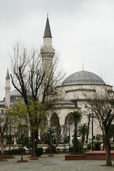 img00002.jpg