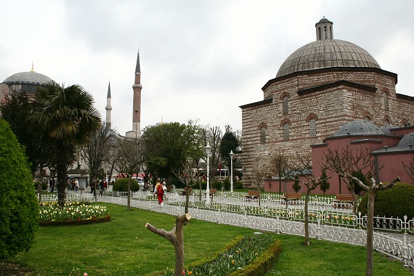 img00011.jpg