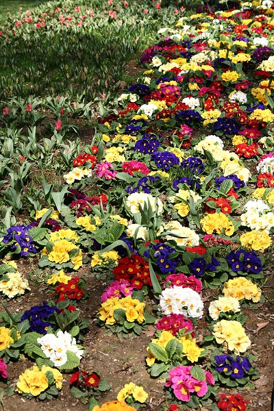 img00028.jpg